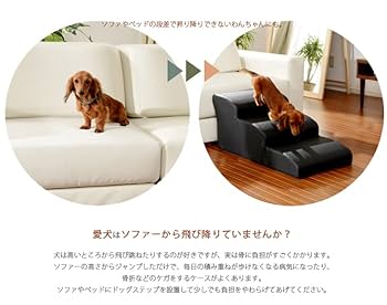 Amazon | ペットステップ 4段 幅40cm ロング 長さ80cm ペット用